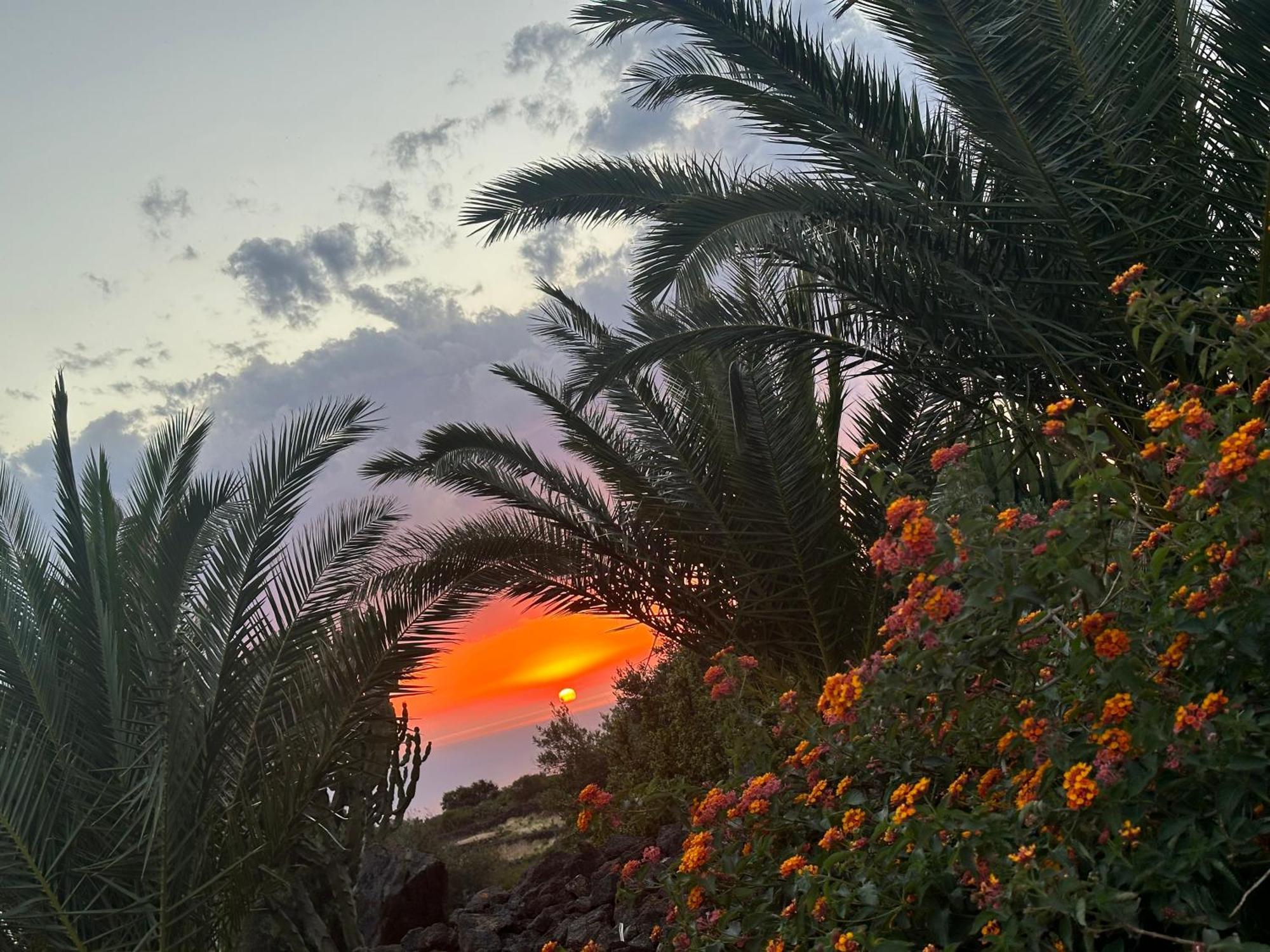 Dammuso Favarelle Da Caty Scauri (Sicily) Exterior foto