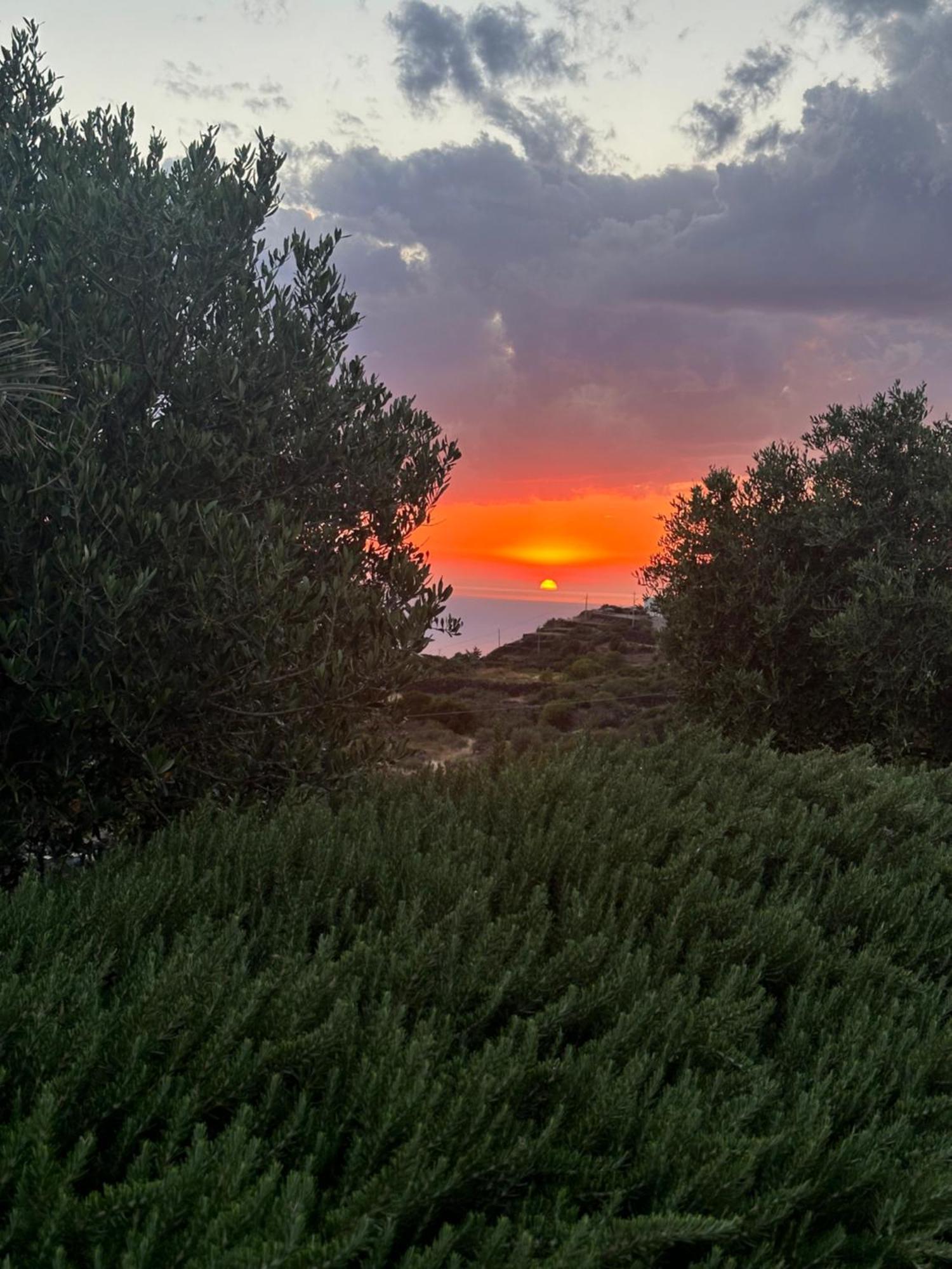 Dammuso Favarelle Da Caty Scauri (Sicily) Exterior foto